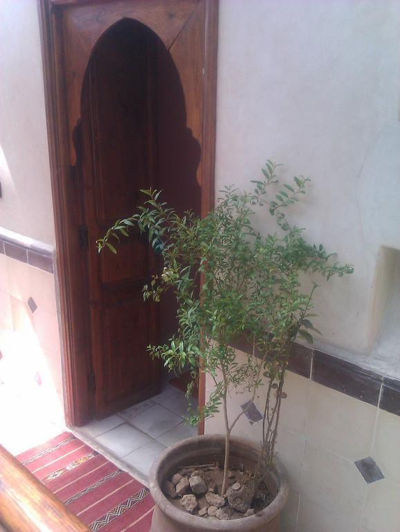 Riad Janat Salam *